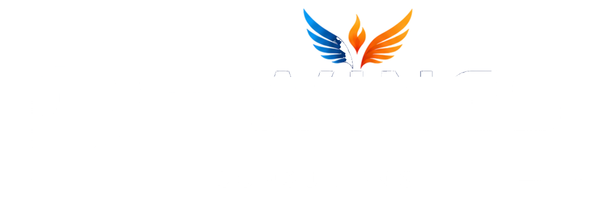 D-WINGS Consulting LLP